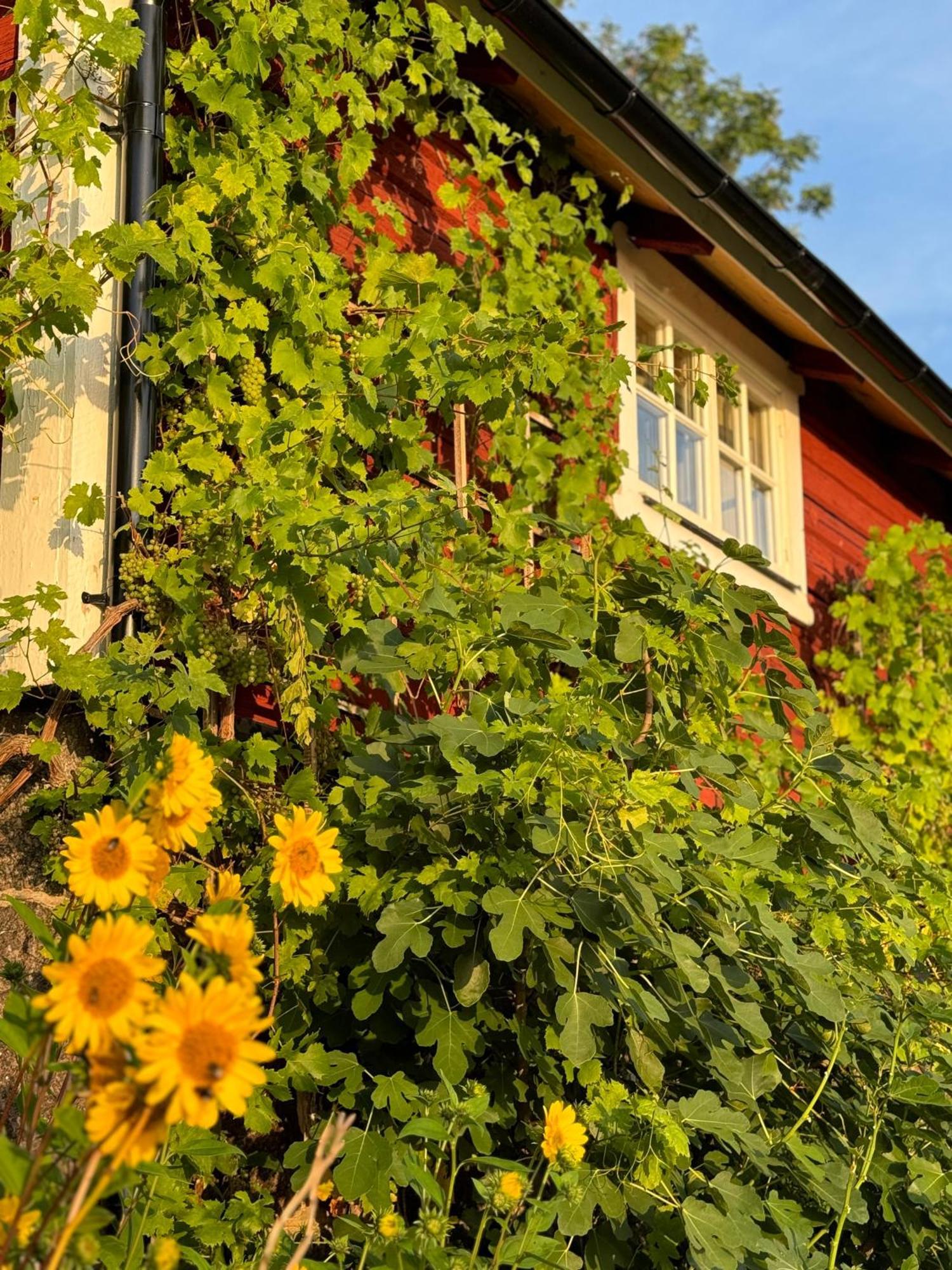 Villa Brunstorpsgard Braenneriet Huskvarna Exterior foto
